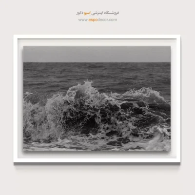 تابلو حمام و سرویس بهداشتی - خروش – تابلو سیاه و سفید - اسپو دکور