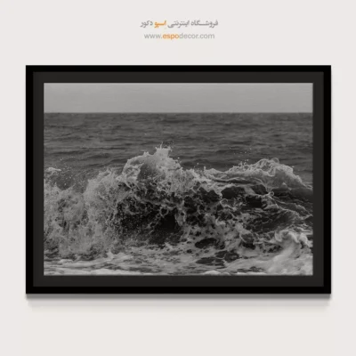 تابلو حمام و سرویس بهداشتی - خروش – تابلو سیاه و سفید - اسپو دکور