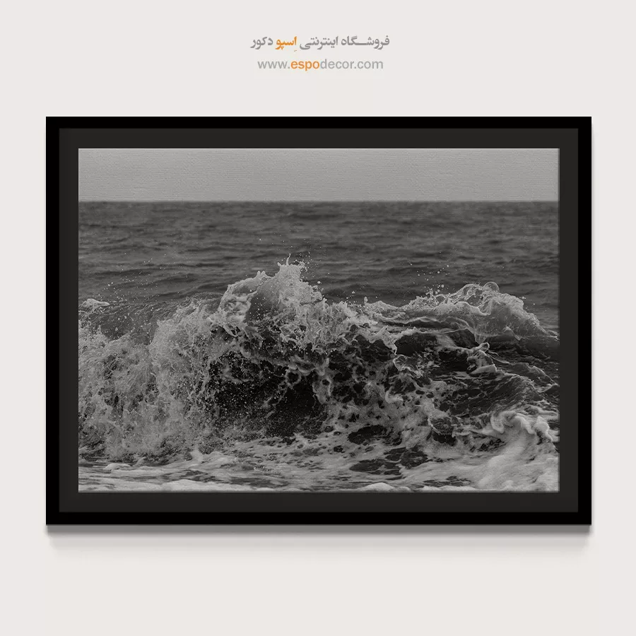 تابلو حمام و سرویس بهداشتی - خروش – تابلو سیاه و سفید - اسپو دکور