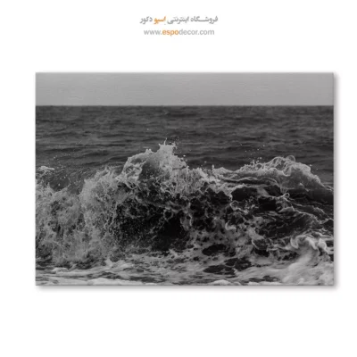 تابلو حمام و سرویس بهداشتی - خروش – تابلو سیاه و سفید - اسپو دکور