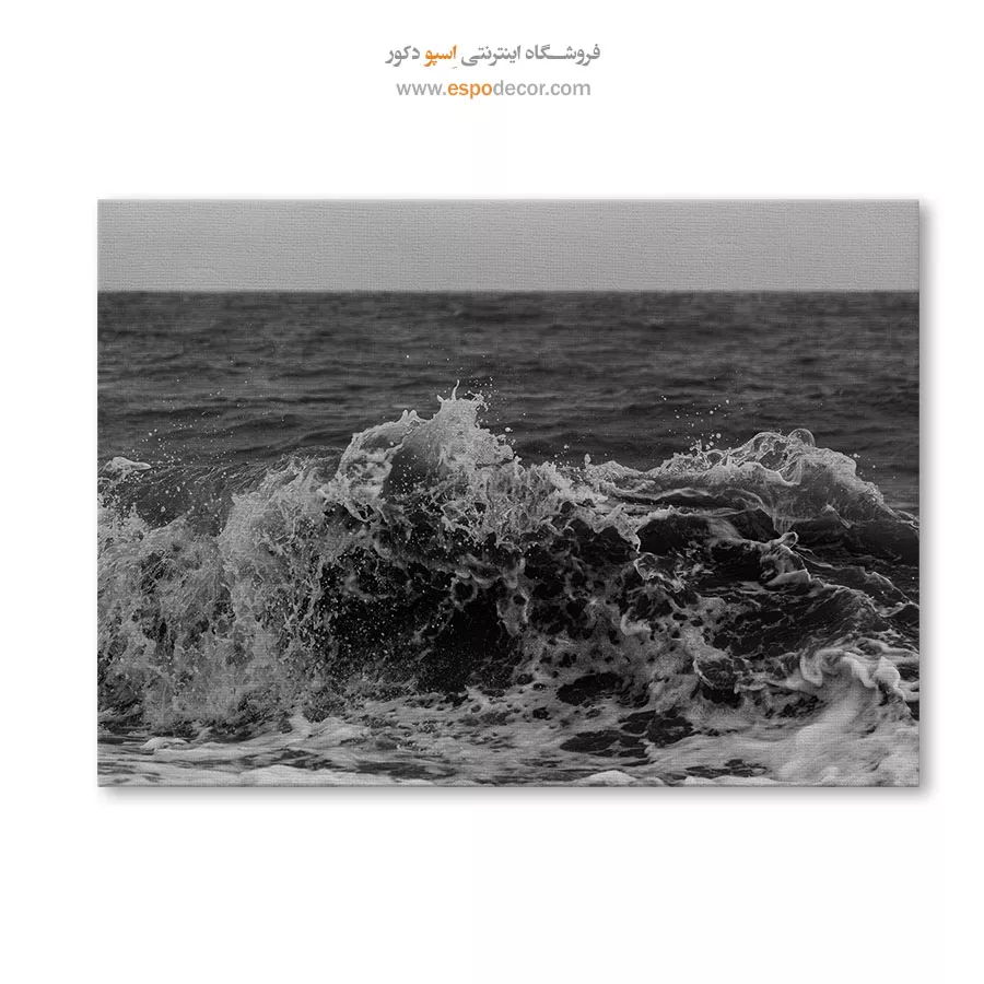 تابلو حمام و سرویس بهداشتی - خروش – تابلو سیاه و سفید - اسپو دکور