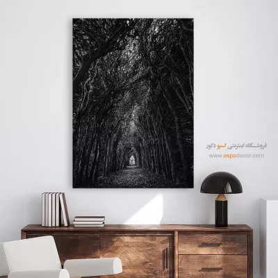 تابلو دیواری با تصاویر زیبا - راه – تابلو سیاه و سفید - اسپو دکور
