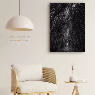 تابلو دیواری با تصاویر زیبا - راه – تابلو سیاه و سفید - اسپو دکور