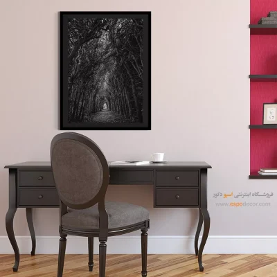 تابلو دیواری با تصاویر زیبا - راه – تابلو سیاه و سفید - اسپو دکور