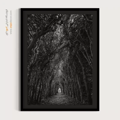 تابلو دیواری با تصاویر زیبا - راه – تابلو سیاه و سفید - اسپو دکور