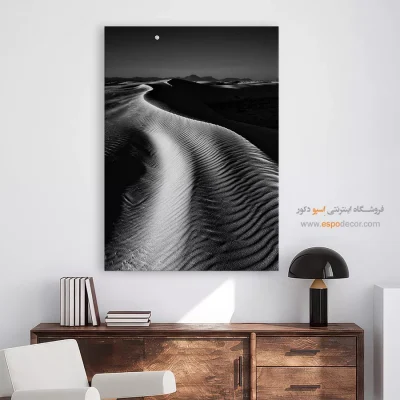 تابلو با طراحی‌های زیبا سیاه و سفید - انعکاس سرد – تابلو سیاه و سفید - اسپو دکور