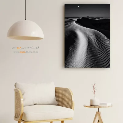 تابلو با طراحی‌های زیبا سیاه و سفید - انعکاس سرد – تابلو سیاه و سفید - اسپو دکور