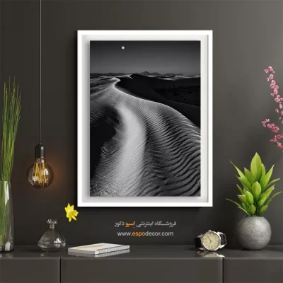 تابلو با طراحی‌های زیبا سیاه و سفید - انعکاس سرد – تابلو سیاه و سفید - اسپو دکور