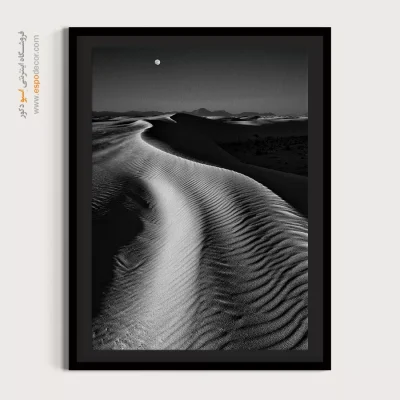 تابلو با طراحی‌های زیبا سیاه و سفید - انعکاس سرد – تابلو سیاه و سفید - اسپو دکور