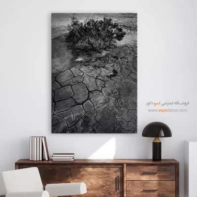 تابلو دیواری با عکس‌های زیبا