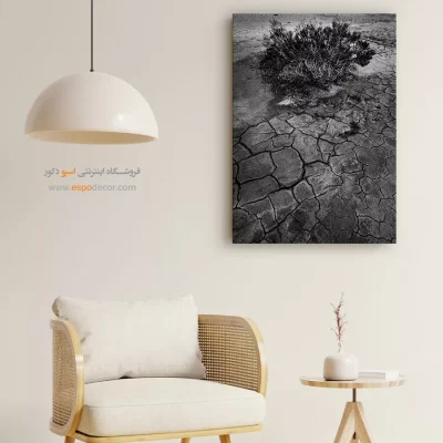 تابلو دیواری با عکس‌های زیبا