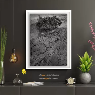 تابلو دیواری با عکس‌های زیبا