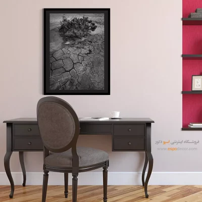 تابلو دیواری با عکس‌های زیبا