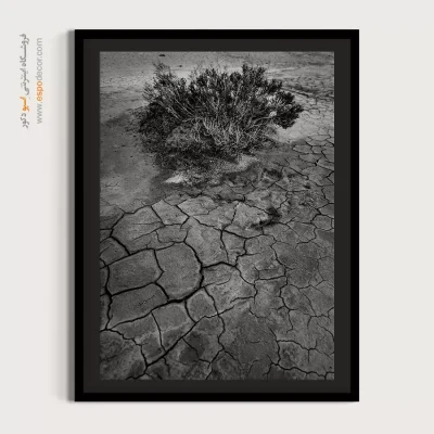 تابلو دیواری با عکس‌های زیبا