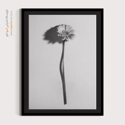 تابلو دکوراتیو با تصاویر طبیعی