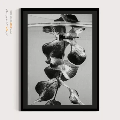 تابلو دکوراتیو آرامش‌بخش - غرق در انعکاس – تابلو سیاه و سفید - اسپو دکور