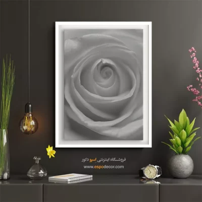 تابلو با تصاویر زیبا از گل‌ها - گرداب گلبرگ‌ – تابلو سیاه و سفید - اسپو دکور
