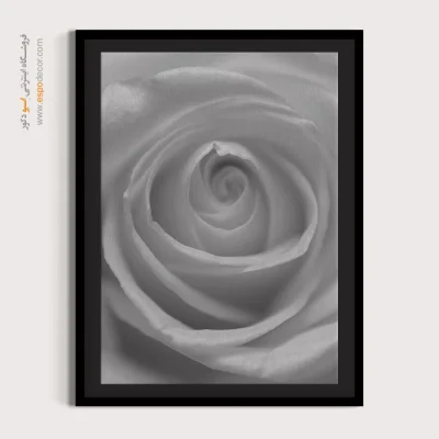 تابلو با تصاویر زیبا از گل‌ها - گرداب گلبرگ‌ – تابلو سیاه و سفید - اسپو دکور
