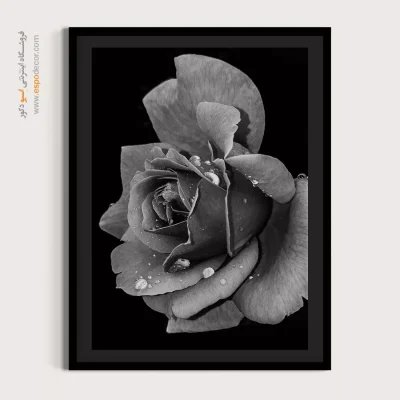 تابلو دکوراتیو رمانتیک - اشک شبنم – تابلو سیاه و سفید - اسپو دکور