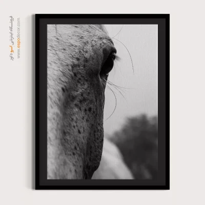 تابلو با تصاویر زیبای پاییز