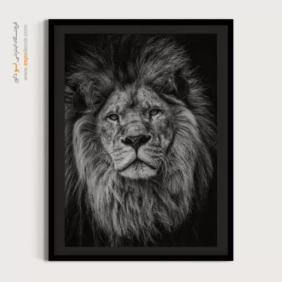 تابلو زیبا از طبیعت وحشی - اقتدار – تابلو سیاه و سفید - اسپو دکور