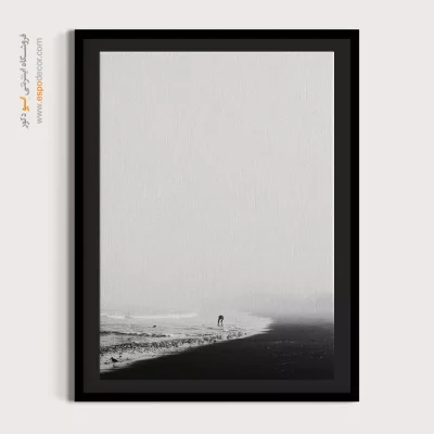 تابلو با عکسهای زیبای پرندگان