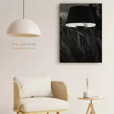 تابلو سیاه و سفید با تضاد طبیعت و مدرنیته - نور در علفزار – تابلو سیاه و سفید - اسپو دکور