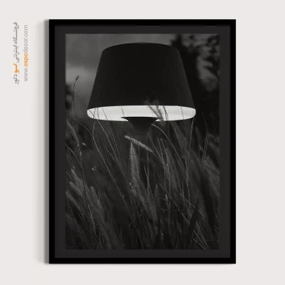 تابلو سیاه و سفید با تضاد طبیعت و مدرنیته - نور در علفزار – تابلو سیاه و سفید - اسپو دکور
