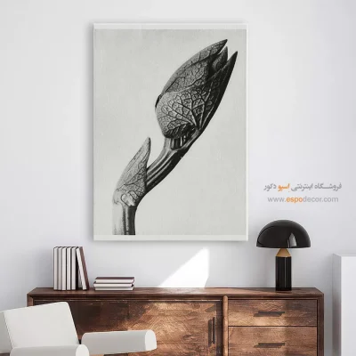 تابلو مینیمال بافت‌دار - جوانه بیدار – تابلو سیاه و سفید - اسپو دکور