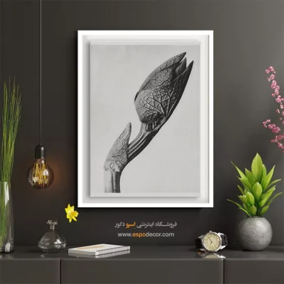 تابلو مینیمال بافت‌دار - جوانه بیدار – تابلو سیاه و سفید - اسپو دکور