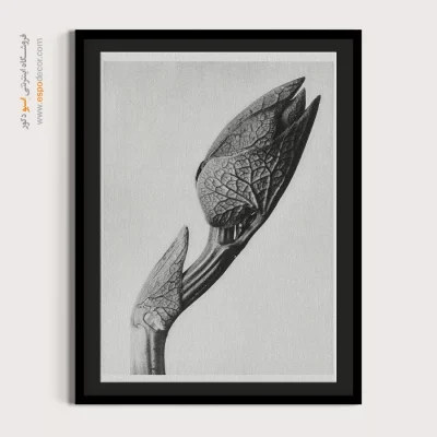 تابلو مینیمال بافت‌دار - جوانه بیدار – تابلو سیاه و سفید - اسپو دکور