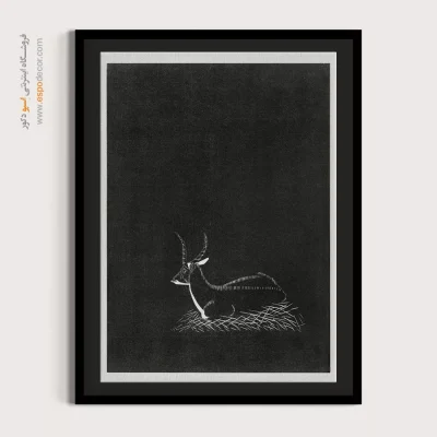 تابلو گرافیكی مینیمال - غزال در تاریکی – تابلو سیاه و سفید - اسپو دکور