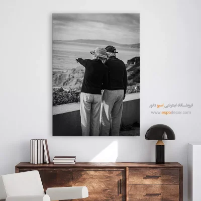 تابلو بوم سیاه سفید - مقصد مشترک – تابلو سیاه و سفید - اسپو دکور
