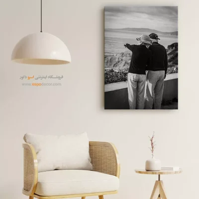 تابلو بوم سیاه سفید - مقصد مشترک – تابلو سیاه و سفید - اسپو دکور