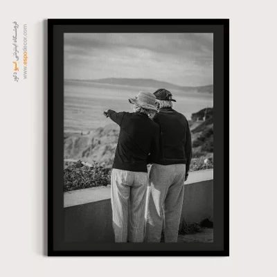 تابلو بوم سیاه سفید - مقصد مشترک – تابلو سیاه و سفید - اسپو دکور