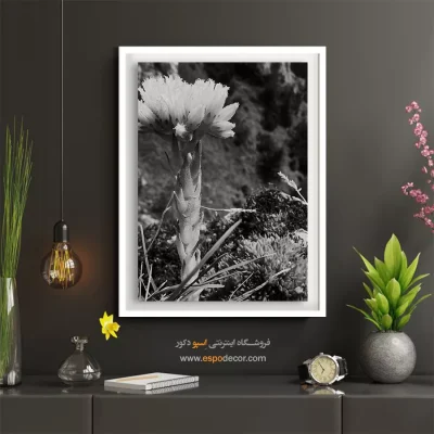 تابلو گل - دراماتیک – تابلو سیاه و سفید - اسپو دکور