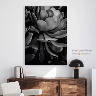 دکوراسیون داخلی سیاه و سفید