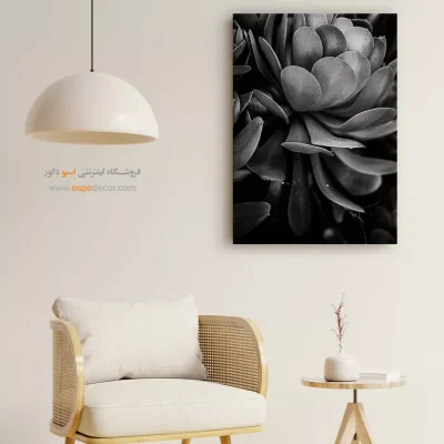 دکوراسیون داخلی سیاه و سفید