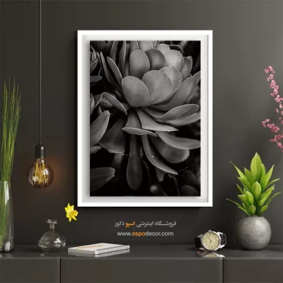 دکوراسیون داخلی سیاه و سفید