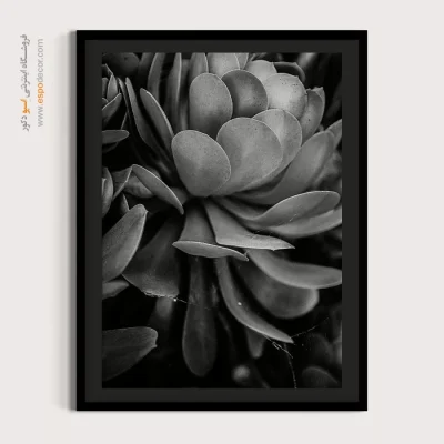 دکوراسیون داخلی سیاه و سفید