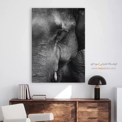 تابلو هنری پرتره حیوانات - چشمان خردمند – تابلو سیاه و سفید - اسپو دکور