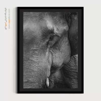 تابلو هنری پرتره حیوانات - چشمان خردمند – تابلو سیاه و سفید - اسپو دکور