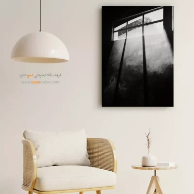 تابلو سیاه و سفید با موضوع طبیعت