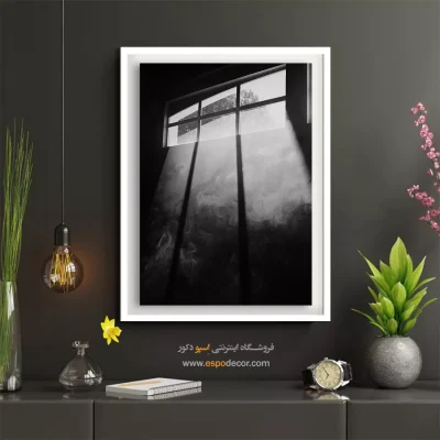 تابلو سیاه و سفید با موضوع طبیعت