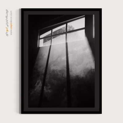 تابلو سیاه و سفید با موضوع طبیعت