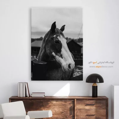 دکوراسیون مزرعه‌ای و روستیک - سکوت نجیب – تابلو سیاه و سفید - اسپو دکور