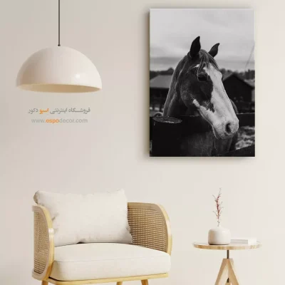 دکوراسیون مزرعه‌ای و روستیک - سکوت نجیب – تابلو سیاه و سفید - اسپو دکور