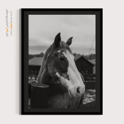 دکوراسیون مزرعه‌ای و روستیک - سکوت نجیب – تابلو سیاه و سفید - اسپو دکور