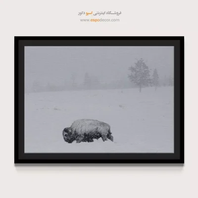 تابلو هنری با حس مینیمال - روح زمستان – تابلو سیاه و سفید - اسپو دکور