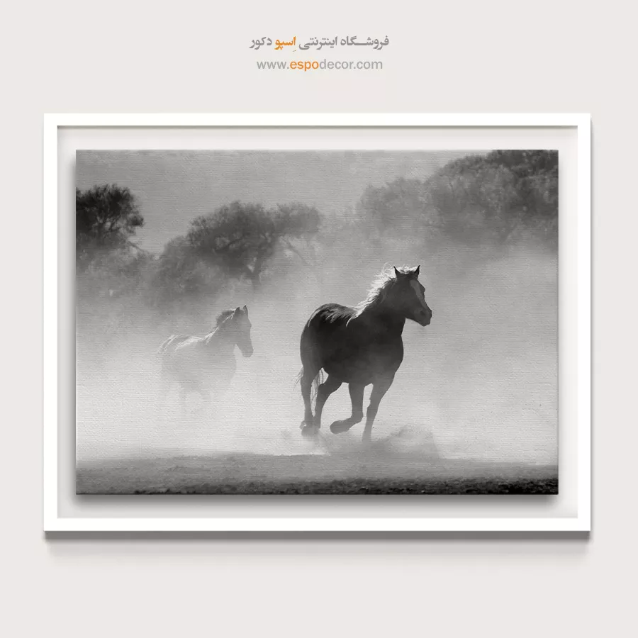 تابلو بوم با حس گرافیکی